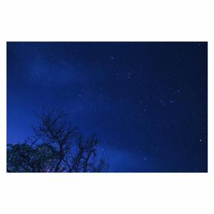 玩爽了新婚少妇
